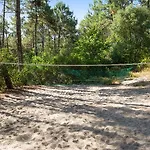Les Pins - Maeva Lacanau