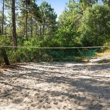 Les Pins - Maeva Lacanau
