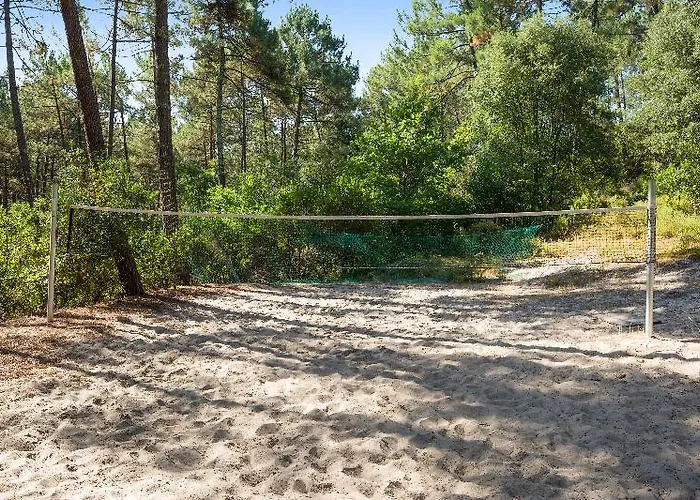 Les Pins - Maeva Lacanau